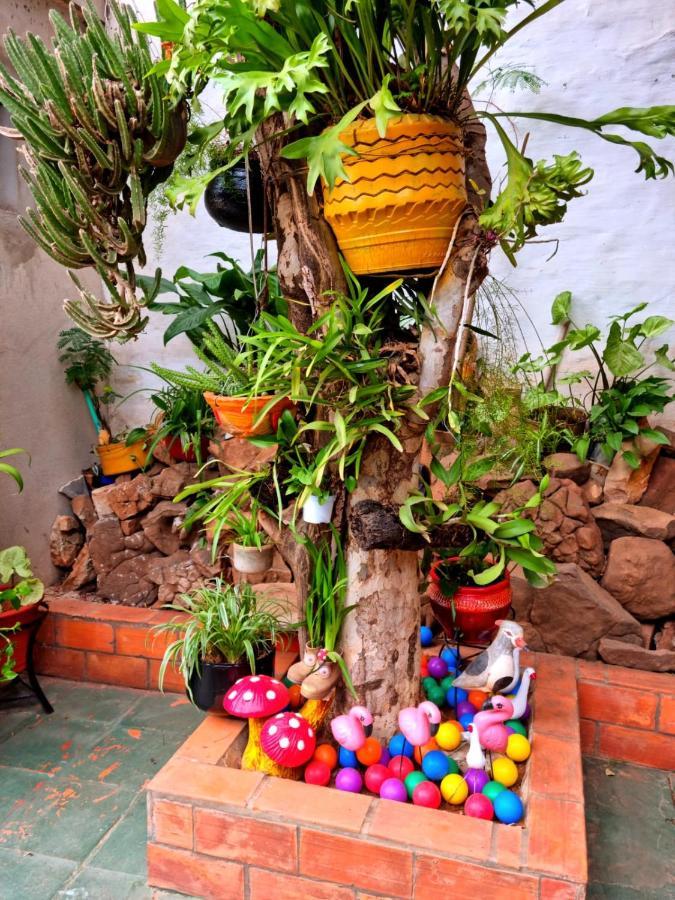 Hostal Jardin De Luque San Lorenzo Eksteriør bilde